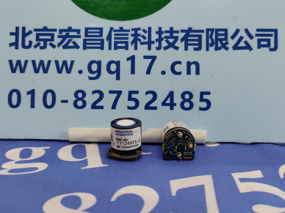 美国英思科 MX6 硫化氢(H2S)传感器  